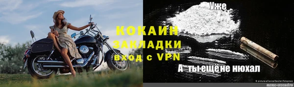 соль ск Козловка